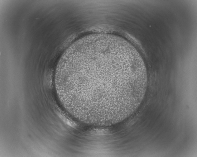 X0000078890065200612111816