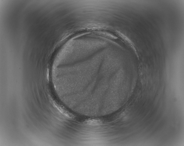 X0000078890067200612111816