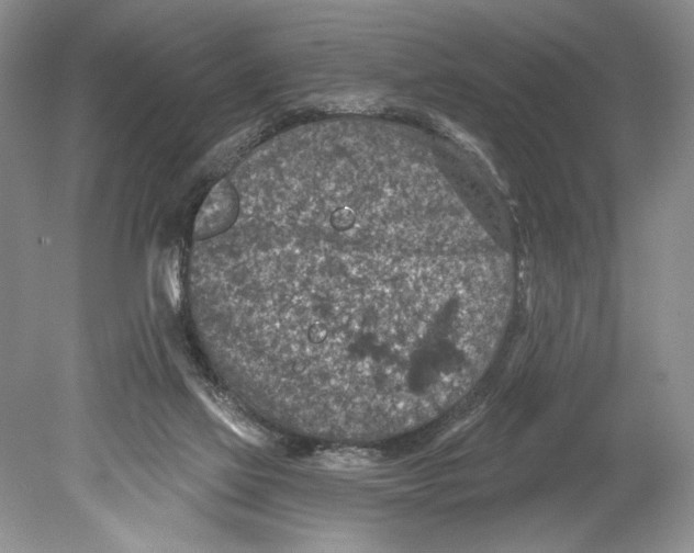 X0000078890069200612111816