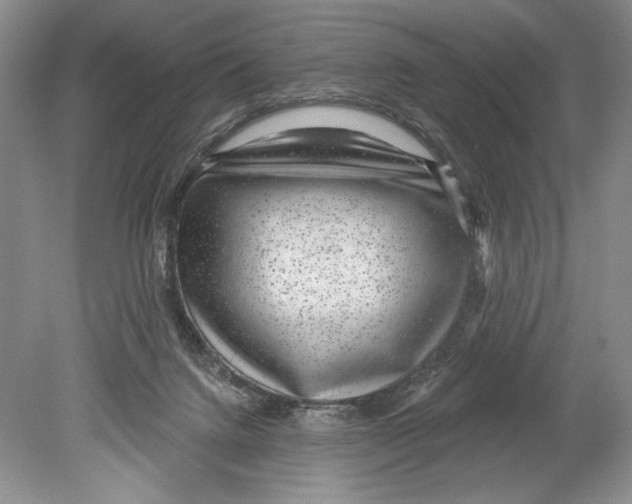 X0000078890072200612111816