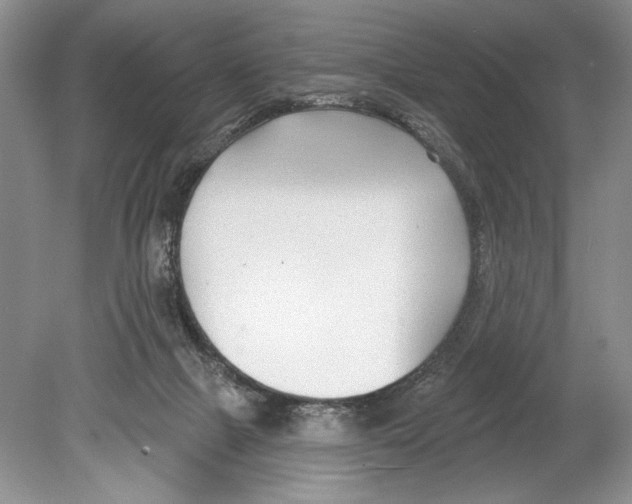 X0000078890073200612111816