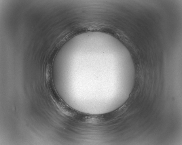 X0000078890074200612111816