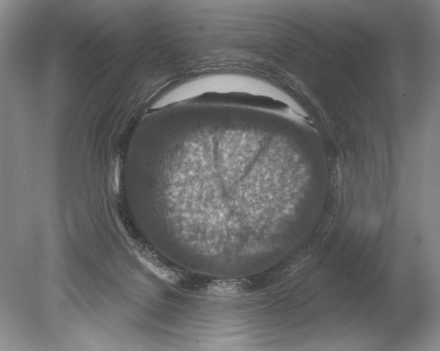 X0000078890076200612111816