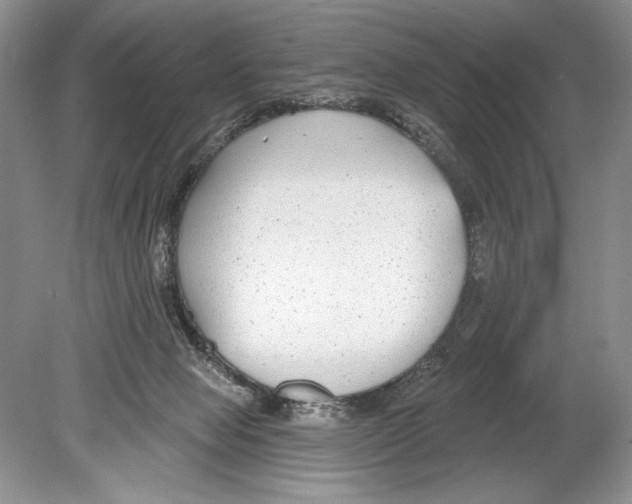 X0000078890077200612111816