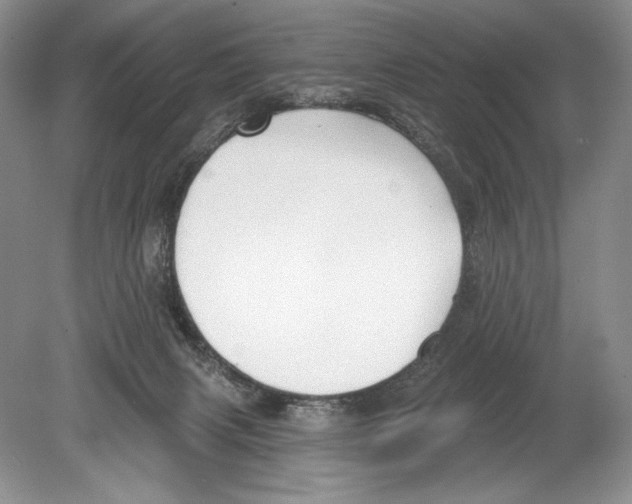 X0000078890079200612111816