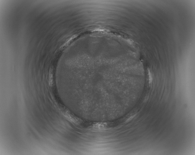 X0000078890080200612111816