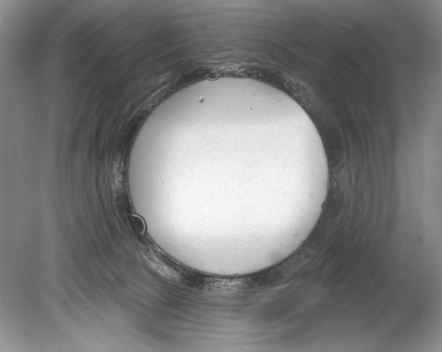 X0000078890081200612111816