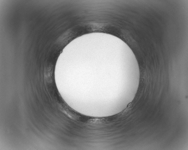 X0000078890082200612111816