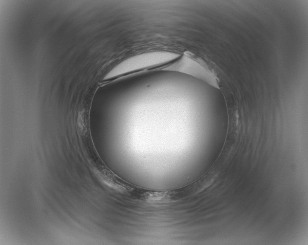 X0000078890088200612111816