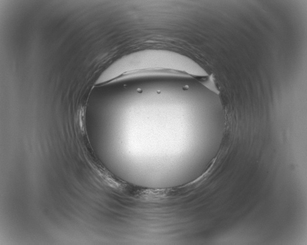 X0000078890094200612111816