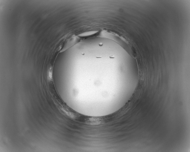 X0000078890095200612111816