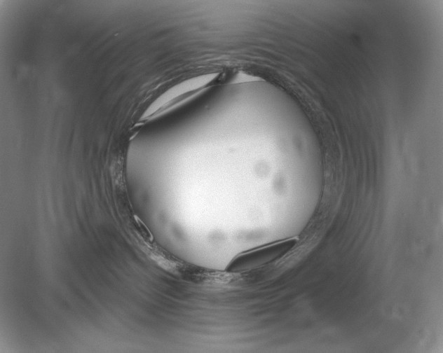 X0000078890096200612111816