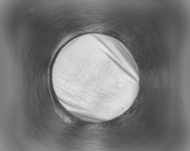 X0000078890100200612111815