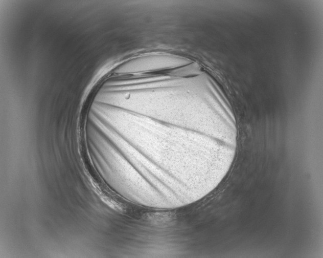 X0000078890102200612111815