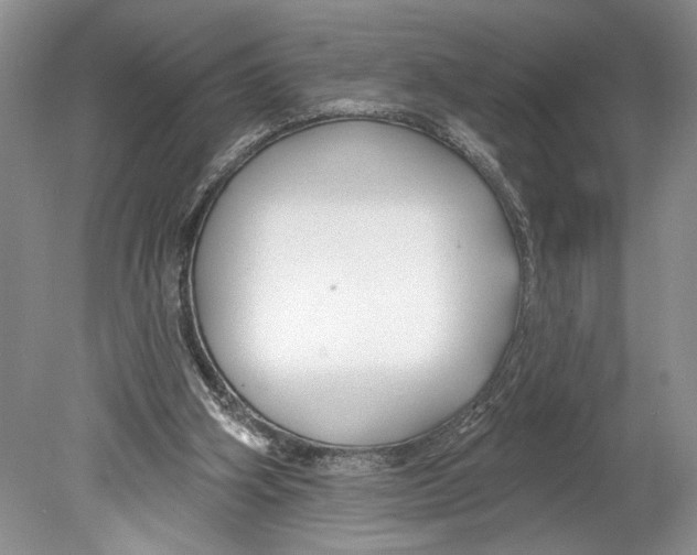 X0000078890106200612111815