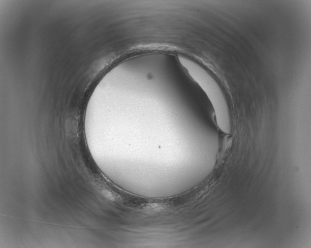 X0000078890111200612111815