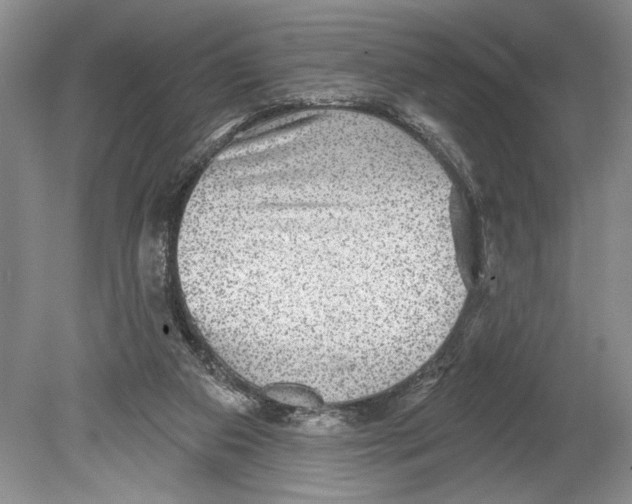 X0000078890113200612111815