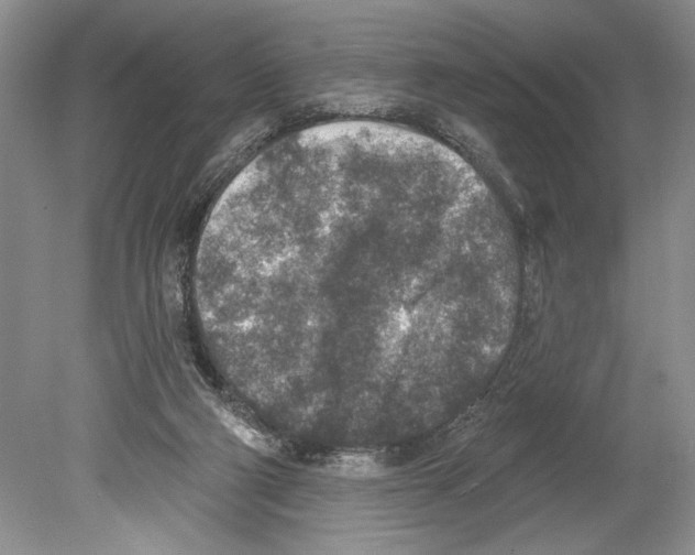 X0000078890114200612111815