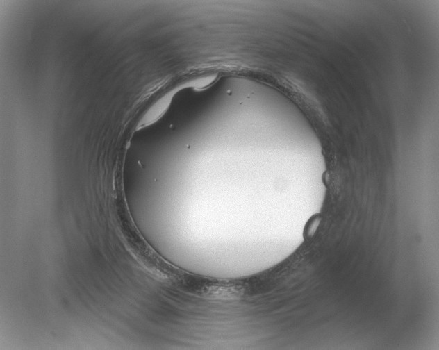 X0000078890115200612111815