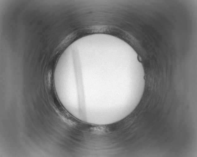 X0000078890118200612111815