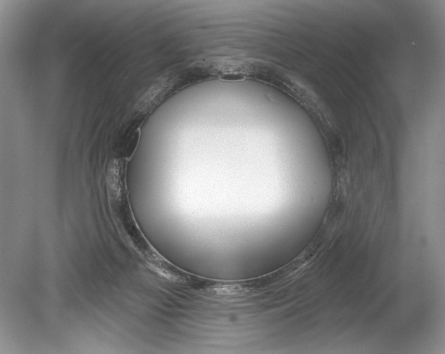 X0000078890121200612111815