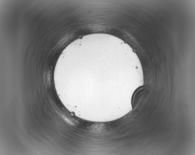 X0000078890124200612111815