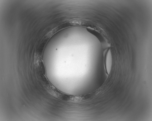 X0000078890125200612111815