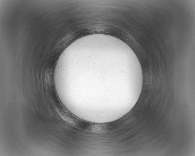 X0000078890126200612111815