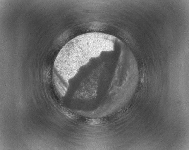 X0000078890127200612111815