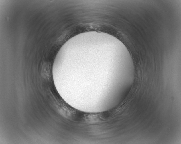 X0000078890129200612111815