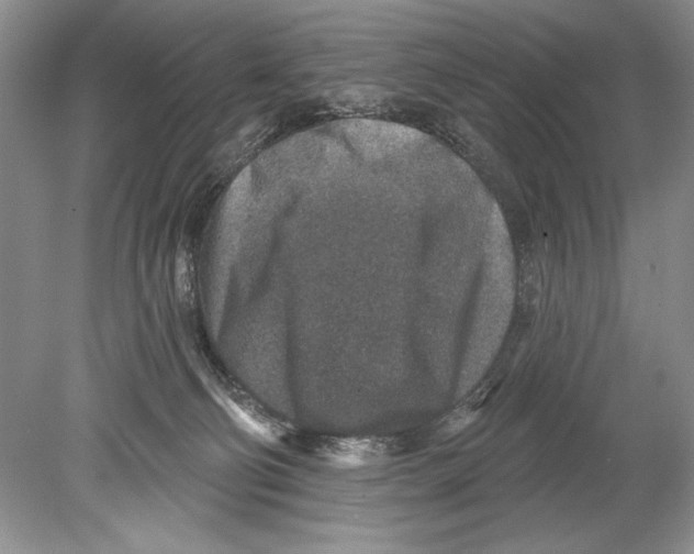 X0000078890130200612111815