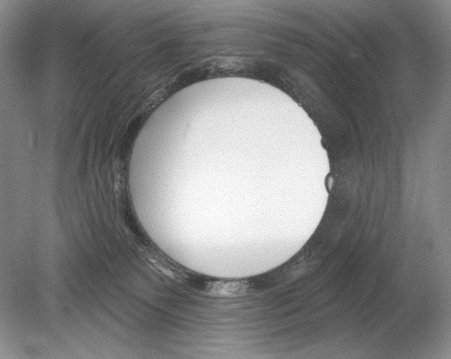 X0000078890135200612111815