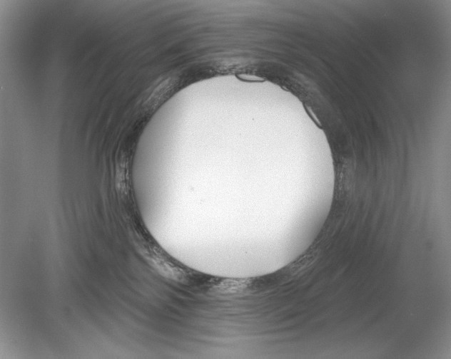 X0000078890138200612111815