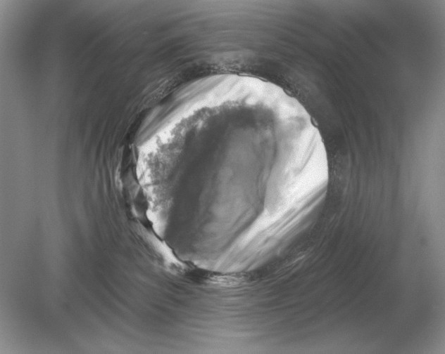 X0000078890139200612111815