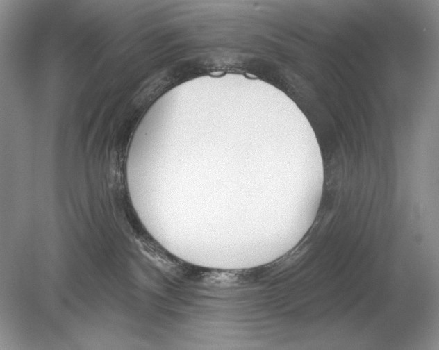 X0000078890140200612111815