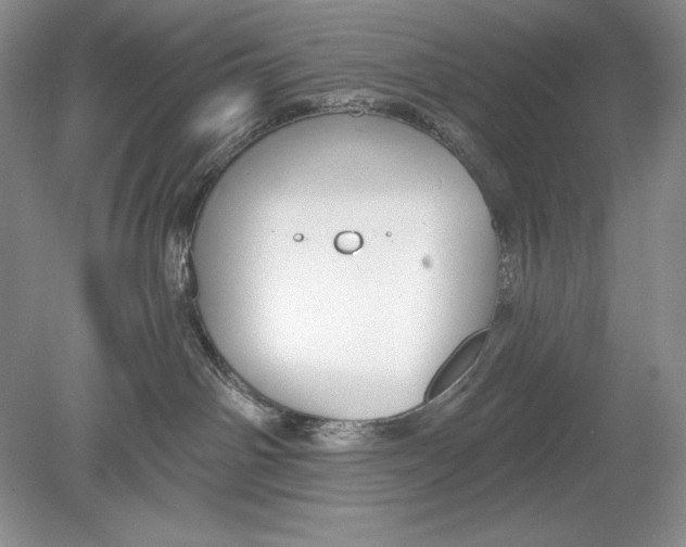 X0000078890142200612111815