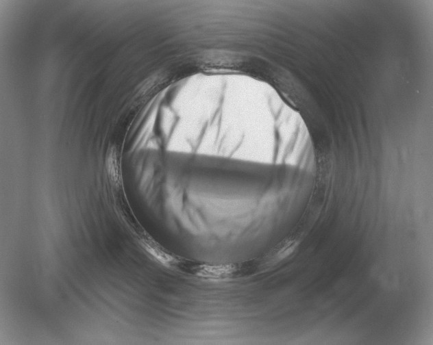 X0000078890143200612111815