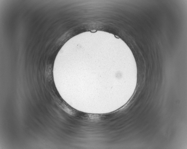 X0000078890144200612111815