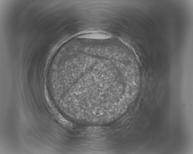 X0000078890145200612111814