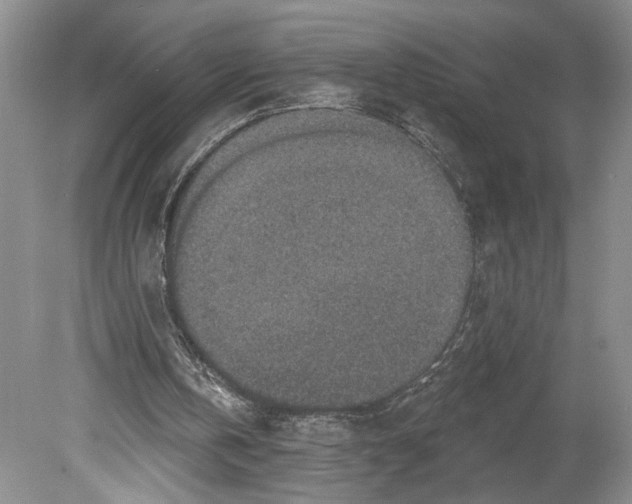 X0000078890146200612111814