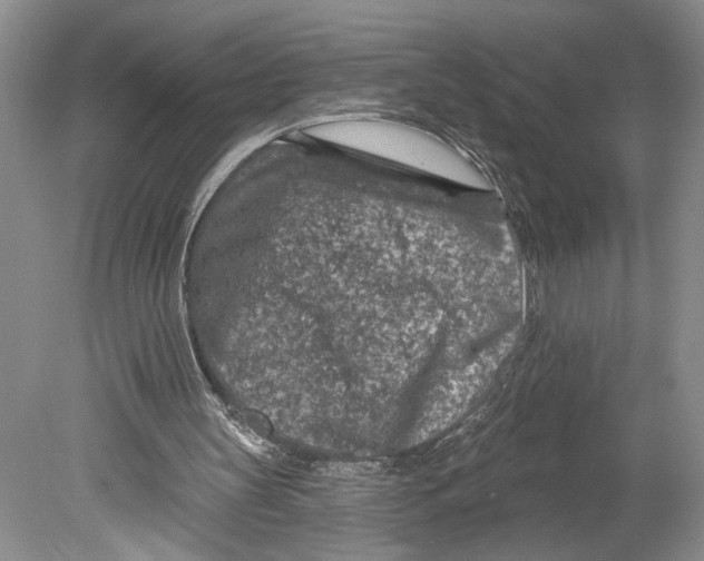 X0000078890147200612111814