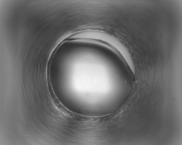 X0000078890148200612111814