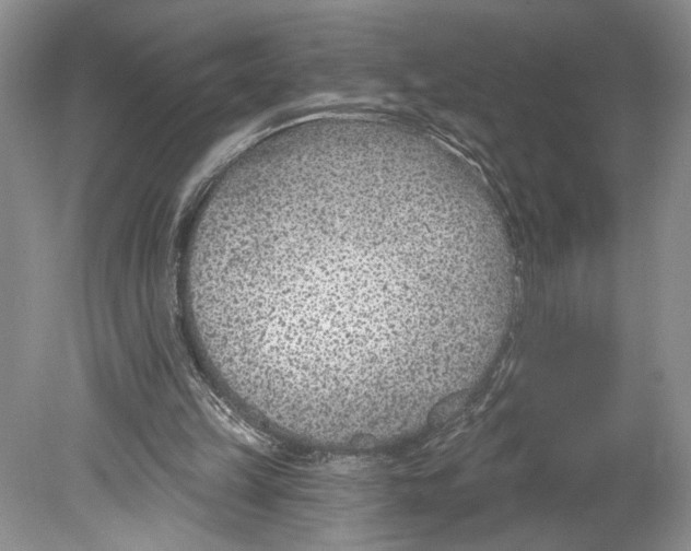 X0000078890149200612111814