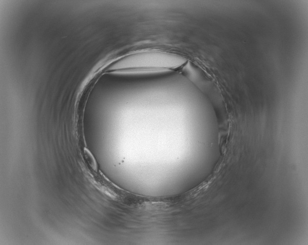 X0000078890150200612111814