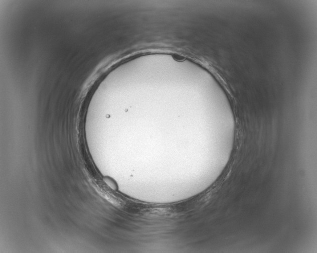 X0000078890151200612111814