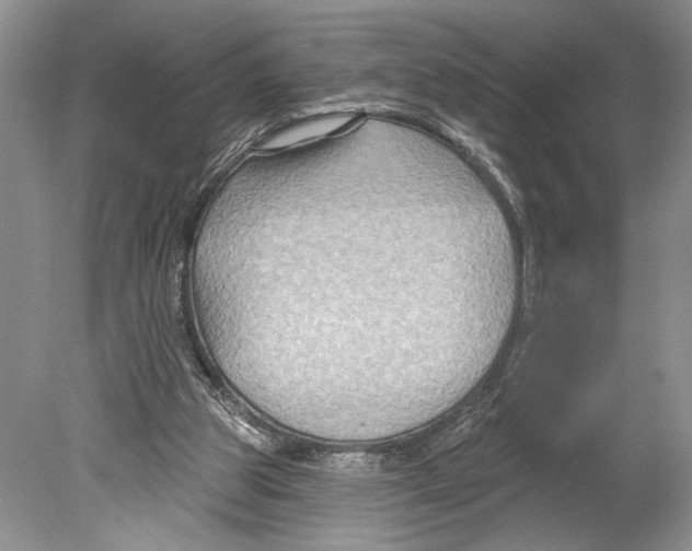 X0000078890153200612111814