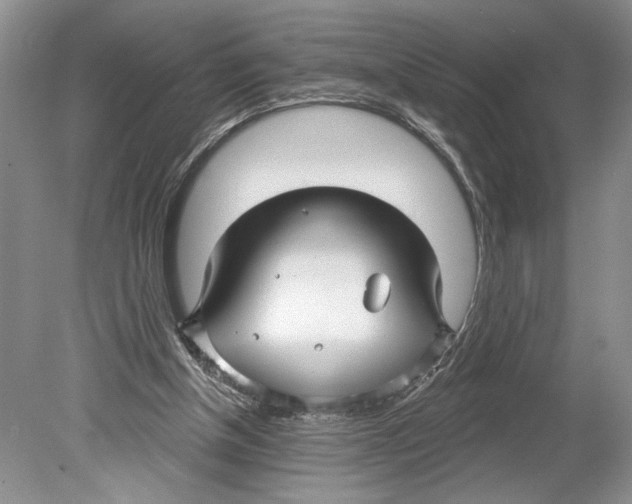 X0000078890154200612111814