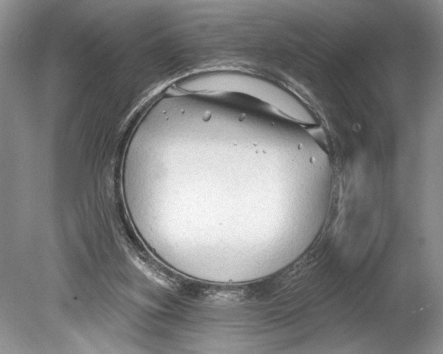 X0000078890155200612111814