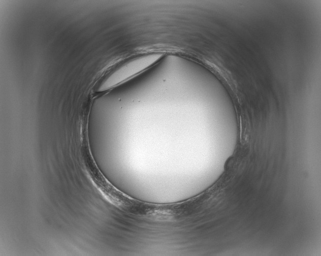 X0000078890157200612111814