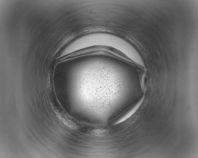 X0000078890158200612111814